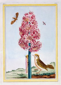 صفير ، حانة. 1776. بواسطة بيير جوزيف بوشوز