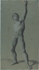 دراسة عارية الذكور