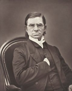 إميل ليتري مؤلف المعاجم والفيلسوف الفرنسي ، 1801-1881 ، ج. 1876.