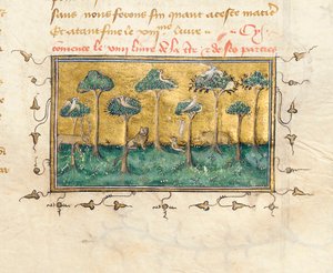 تفاصيل صفحة من "De Proprietatibus Rerum" بواسطة Bartholomeus Anglicus ، في الترجمة الفرنسية لـ Jean Corbechon ، c.1390