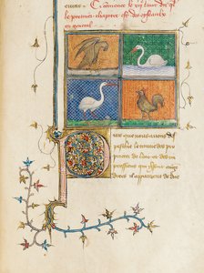 صفحة من "خصائص الأشياء" بقلم بارثولوميو الإنجليزي في الترجمة الفرنسية لجان كوربيكون ، c.1390