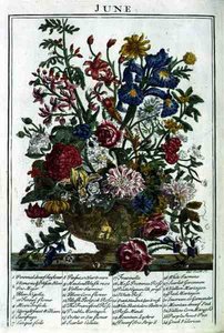 يونيو ، من "حديقة الزهور المعروضة" بقلم روبرت فوربر (1674-1756) ، نقشها جيمس سميث ، حانة. 1732 (نقش ملون)