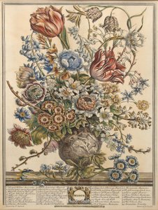 مارس ، من "اثنا عشر شهرًا من الزهور" لروبرت فوربر (c.1674-1756) الذي نقشه هنري فليتشر (نقش الألوان)