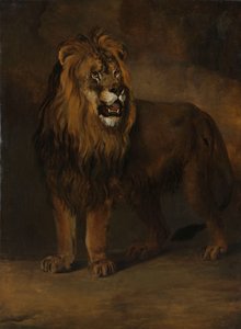 أسد من حديقة الحيوانات للملك لويس نابليون ، 1808