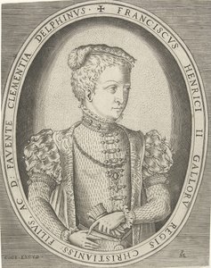 صورة لفرنسيس الثاني ملك فرنسا 1544-1560 بواسطة بيتر هايدن فان دير