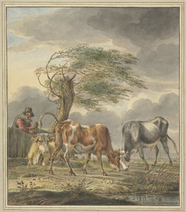 ثيران صغيران وبقرة