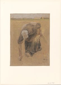 امرأة تقرأ النسر