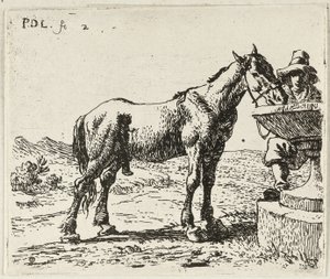 شرب الخيل