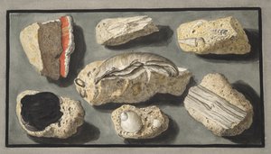 تم العثور على عينات من Tufa داخل وحول Herculaneum ، اللوحة XXXXV ، من "Campi Phlegraei: ملاحظات حول براكين الصقليتين" ، بقلم السير ويليام هاميلتون (1730-1803) ، نشر 1776 (العقيد اليد