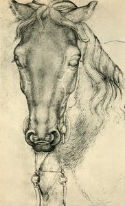 رأس حصان ، c1420-1455 ، 1943. بواسطة أنطونيو بيسانيلو