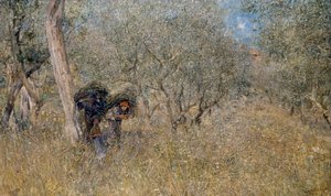 Among olive trees, fascines, by Plinio Nomellini (1866-1943), oil on canvas, 60x100 cm