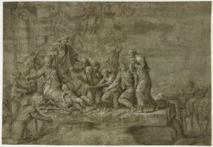 عبادة الرعاة بواسطة Polidoro da Caravaggio