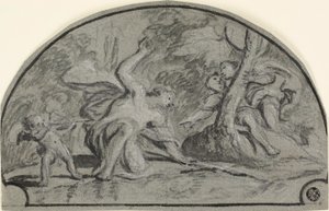 نرجس بواسطة Polidoro da Caravaggio