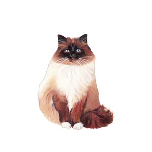  بواسطة 
