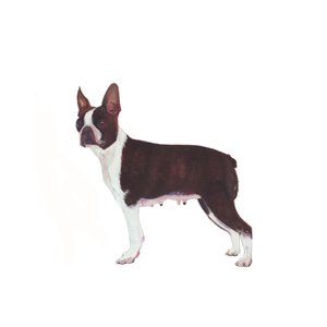  بواسطة 