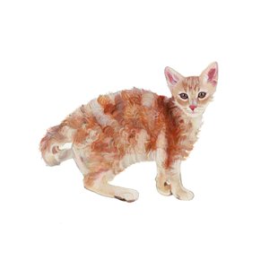  بواسطة 