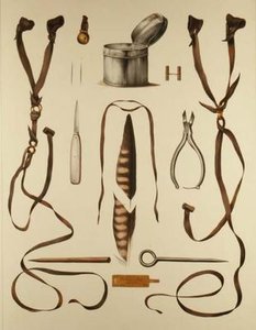 معدات الصيد بالصقور ، من "Traite de Fauconnerie" بواسطة H. Schlegel و AH Verster de Wulverhorst بواسطة بورتمان وفان وو