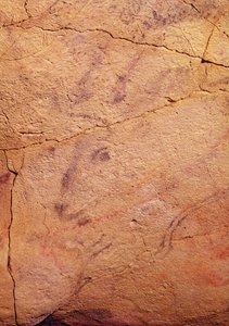 رأس أيل صغير ، من الكهوف في ألتاميرا ، c.15000-8000 قبل الميلاد (رسم الكهف) بواسطة قبل التاريخ