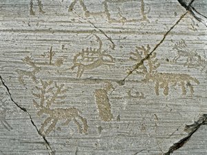 عصور ما قبل التاريخ ، حضارة كاموني ، الفن الصخري: صخرة قبر لتمثيل الغزلان. الفترة بين العصر الحجري الحديث والعصر البرونزي. صخر. 1 - كابو دي بونتي ، منتزه Naquane Rock Carvings الوطني ، فالكامونيكا ، فال كامونيكا ، إيطاليا بواسطة عصور ما قبل التاريخ