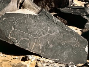 عصور ما قبل التاريخ ، الفن الصخري: صخرة قبر تصور الأسود والظباء والنعام والماشية. العصر الحجري 5000-2000 ق. تاغيت ، هضبة الهقار العليا ، الجزائر بواسطة عصور ما قبل التاريخ
