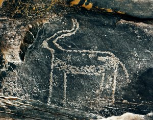 Prehistory, rock art: grave rock of the representation of an antelope. Stone Age 5000-2000 BC. Taghit, Haut plateau du Hoggar (Ahaggar), Algeria بواسطة عصور ما قبل التاريخ