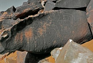 Prehistory, rock art: grave rock of the representation of cattle. Tazina style. Stone Age 5000-2000 BC. Taghit, Haut plateau du Hoggar (Ahaggar), Algeria بواسطة عصور ما قبل التاريخ