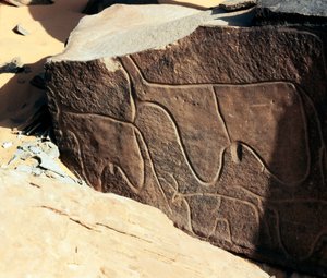 عصور ما قبل التاريخ ، الفن الصخري: صخرة قبر لتمثيل الماشية. أسلوب تازينا. العصر الحجري 5000-2000 ق. تاغيت ، هضبة الحقار العليا ، الجزائر بواسطة عصور ما قبل التاريخ