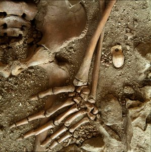 Prehistory: teenage sepulture. Detail view of the funeral trousseau from the cave of Candid Arene (Finale Ligure), Liguria. Upper Paleolithic, 24000 BC. Genes, museo di archeologia ligure بواسطة عصور ما قبل التاريخ