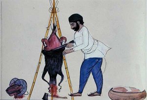 جزار عام 1890 (ألوان مائية على ورق) بواسطة المدرسة البنجابية