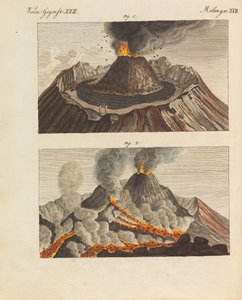 موسوعة الأطفال المصورة للكتاب المصور للأطفال بقلم فريدريش يوهان جاستن بيرتوش ، 1798-1830.