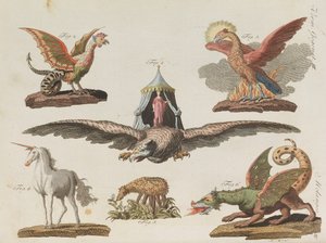 موسوعة الأطفال المصورة للكتاب المصور للأطفال بقلم فريدريش يوهان جاستن بيرتش ، 1798-1830.