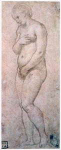 دراسة فينوس ، c1500-1520 بواسطة رافايللو سانزيو رافائيل
