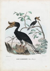 القرن الكبير ، 1863-1879 بواسطة رايموندو بيترارويا