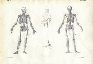 إنسان ، 1863-1879 بواسطة رايموندو بيترارويا