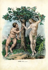 الأجناس البشرية ، 1863-1879 بواسطة رايموندو بيترارويا