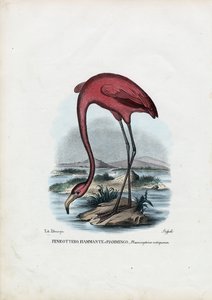 روزي ، 1863-1879 بواسطة رايموندو بيترارويا