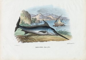 أبو سيف ، 1863-1879 بواسطة رايموندو بيترارويا