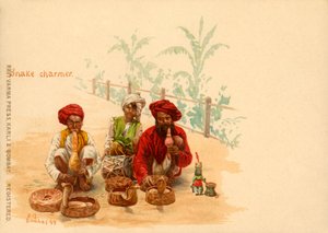 ثعبان تشارمر ، 1899.