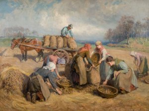 مجمعو البطاطس ، نورثمبرلاند ، 1903