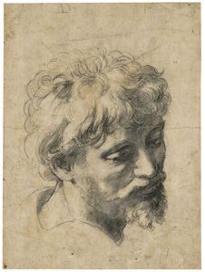 "Portrait de jeune apostle" (رأس الرسول الشاب) فحم على ورق بقلم رافائيل (Raffaello Sanzio) (1483-1520) مجموعة خاصة بواسطة رافائيل