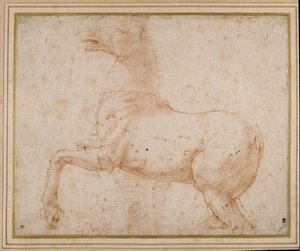 Study of a horse (pen & ink and pencil on paper) بواسطة رافائيل