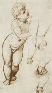 The Infant Christ and other Studies (pen and dark-brown ink over preliminary indications in leadpoint, on white paper) بواسطة رافائيل