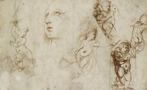 Various Studies, chiefly for the Borghese-Beckford St Catherine (pen and brown ink on off-white paper) بواسطة رافائيل