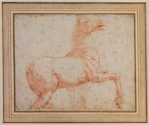 دراسة لواحد من خيول رخام كويرينال1515-17 بواسطة رافائيل