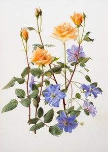 الورد والياسمين بواسطة ريموند بوث