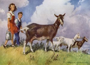 رسم توضيحي لمزرعتي (لون ليثو) بواسطة ريجينالد ميلز