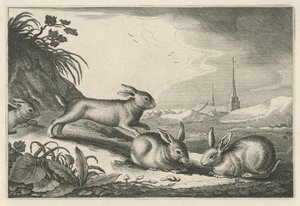 المناظر الطبيعية الكثبان الرملية مع الأرانب Diversa Animalia Quadrupedia (عنوان المسلسل)
