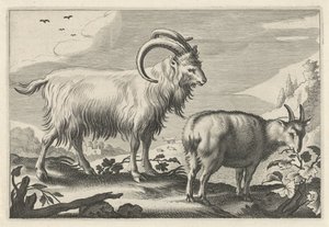 التلال المناظر الطبيعية مع اثنين من الماعز Diversa Animalia Quadrupedia (عنوان المسلسل)