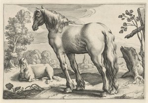 منظر طبيعي به حصانان Diversa Animalia Quadrupedia (عنوان المسلسل)