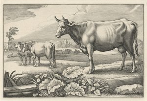 مرعى مع أبقار Diversa Animalia Quadrupedia (عنوان المسلسل)